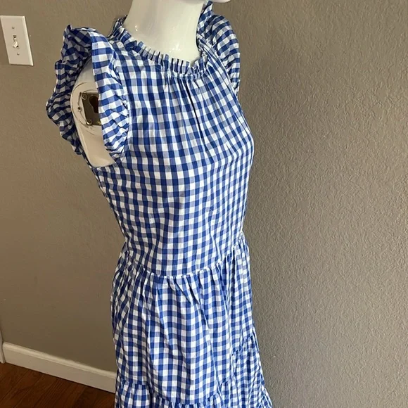 NWT J. Crew Tiered Ruffle-sleeve gingham dress XS SM Tall. - Picture 10 of 10